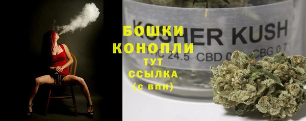ПСИЛОЦИБИНОВЫЕ ГРИБЫ Абдулино