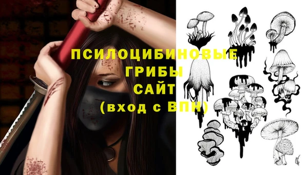 ПСИЛОЦИБИНОВЫЕ ГРИБЫ Абдулино