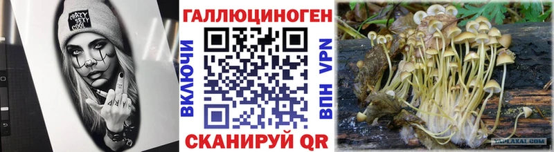 Галлюциногенные грибы GOLDEN TEACHER  Нахабино 